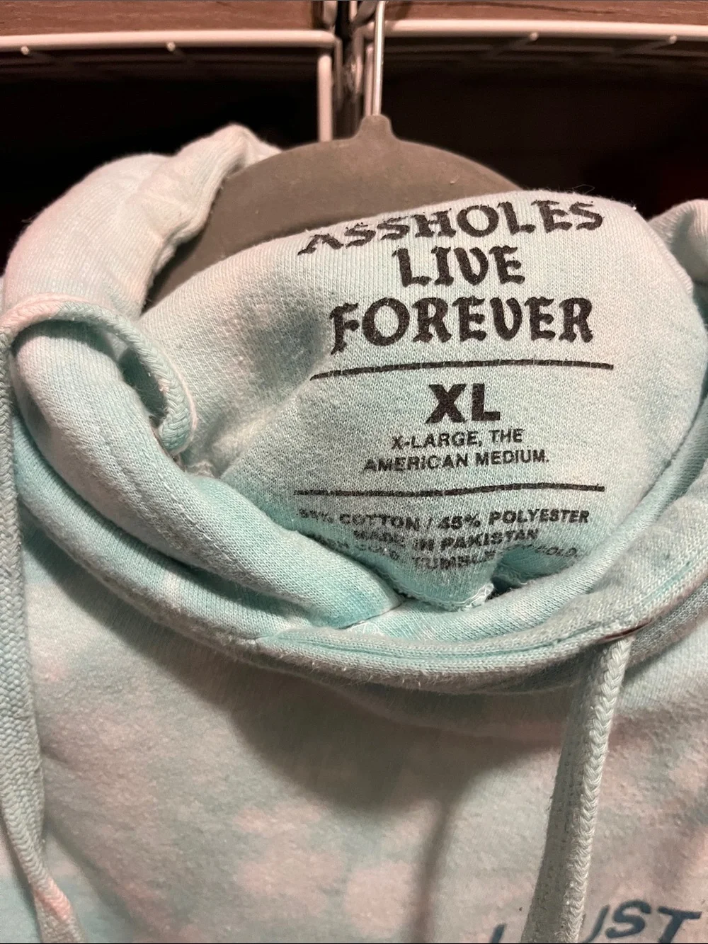 Tie-Dye Mint Dog Lover Hoodie with Statement Text